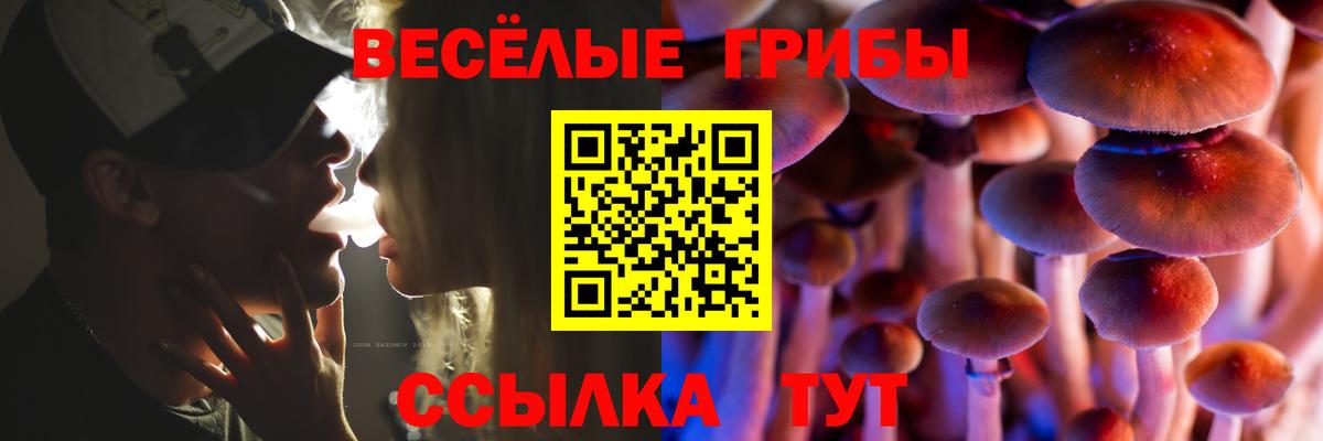Галлюциногенные грибы мухоморы  Вход с VPN  Вичуга  Галлюциногенные грибы Cubensis 